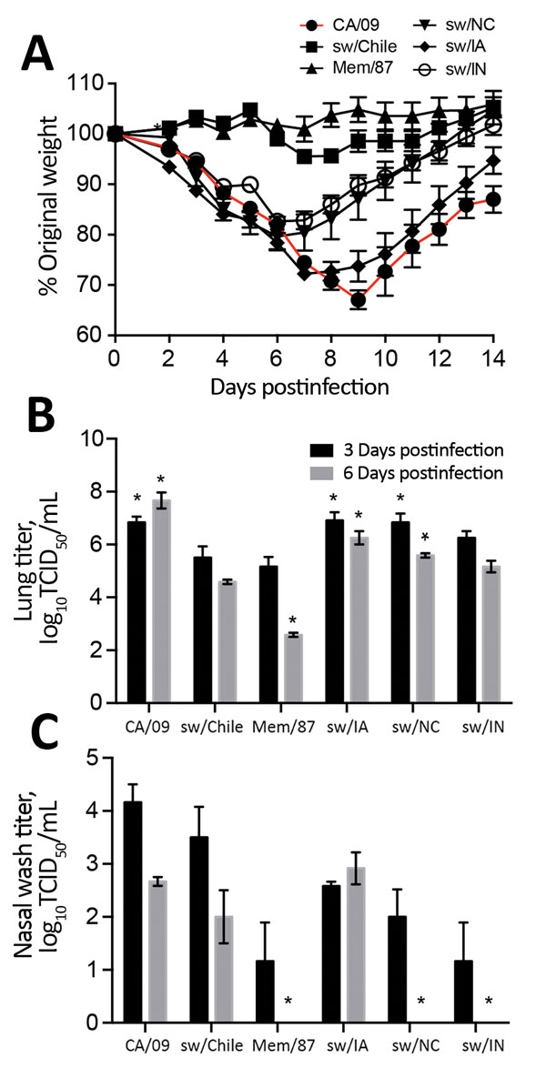 Replication of influenza viruses in vivo. To evaluate pathogenicity in mice, 6- to 8-week-old BALB/c mice (n = 11 mice/group/experiment) were infected with 105 50% tissue culture infectious dose (TCID50) units of the indicated viruses and weight loss was monitored for 14 days postinfection (dpi) (A). At 3 dpi and 6 dpi, lungs (B) and nasal washes (C) were collected from 3 mice/group and viral titers were determined by TCID50 analysis. Data are presented as mean ± SEM. *p&lt;0.05 versus sw/Chile 