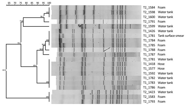 Dendrogram generated by FPQuest software showing the pattern of SfiI bands for isolates of Legionella pneumophila from 2 street cleaning trucks, Barcelona, Spain, 2015. Strains are identified with code of truck of origin (T1, T2) and an internal number. Scale bar represents Dice similarity coefficient percentage.