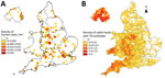 Thumbnail of Cases of Mycobacterium bovis disease in England, Wales, and Northern Ireland, 2002–2014. A) Density of human cases. B) Density of cattle herds with TB outbreaks. This material is based on Crown Copyright and is reproduced with the permission of Land &amp; Property Services under delegated authority from the Controller of Her Majesty’s Stationery Office.