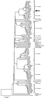 Thumbnail of Rooted phylogenetic tree of Neisseria meningitidis sequence type 11 urethral isolates from men in Indianapolis, Indiana, USA, 2015–2016, compared with representative serogroup strains of N. meningitidis. Tree was inferred by using the neighbor-joining method constructed with MEGA7 (13). The percentage of replicate trees in which the associated taxa clustered together in 500 bootstrap tests is indicated next to the branches. The tree is drawn to scale, and branch lengths correspond t