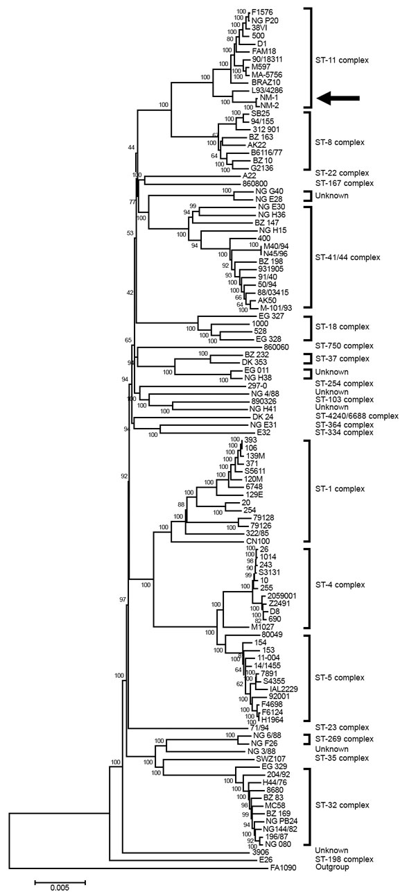 Rooted phylogenetic tree of Neisseria meningitidis sequence type 11 urethral isolates from men in Indianapolis, Indiana, USA, 2015–2016, compared with representative serogroup strains of N. meningitidis. Tree was inferred by using the neighbor-joining method constructed with MEGA7 (13). The percentage of replicate trees in which the associated taxa clustered together in 500 bootstrap tests is indicated next to the branches. The tree is drawn to scale, and branch lengths correspond to evolutionar