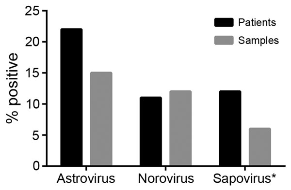 Enteric virus infections identified from remnant fecal samples from pediatric patients with cancer, Memphis, Tennessee, USA, 2008. The percentage of samples and patients testing positive for human astrovirus was higher than the percentages testing positive for either norovirus or sapovirus. *Due to limited sample availability, 31 samples could not be tested for sapovirus.