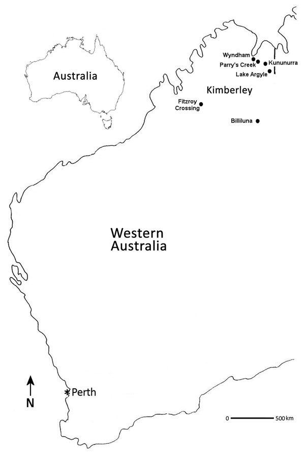 Locations where Fitzroy River virus–positive mosquitoes were collected (black dots), Western Australia, Australia, 2011 and 2012. Perth (asterisk), the capital city and most densely populated area of Western Australia, is shown to indicate its distance from the Kimberley region. 