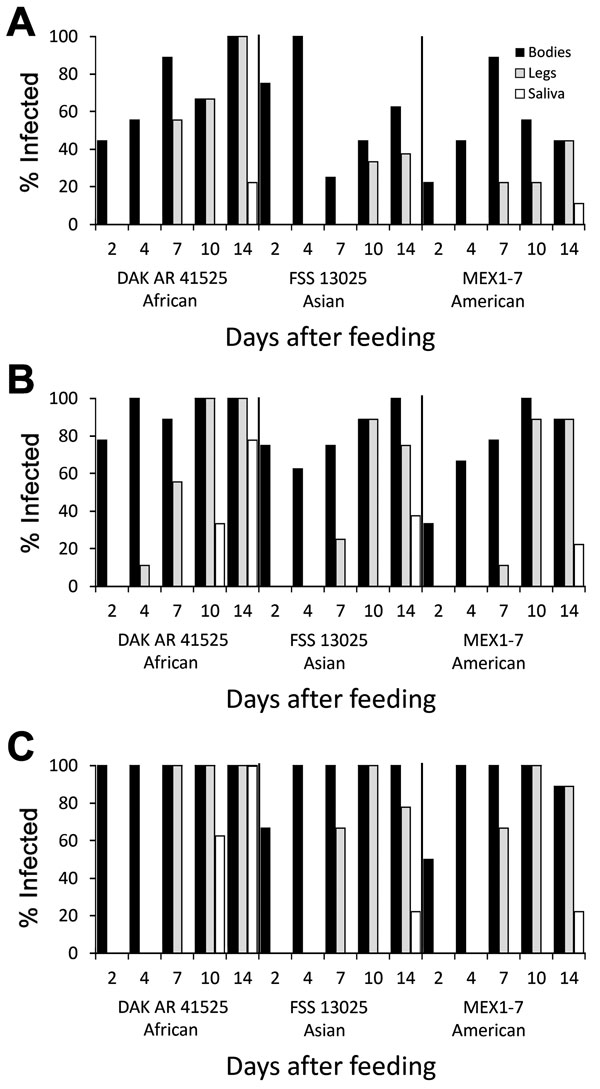 Infection, dissemination, and transmission of 3 Zika virus strains by Aedes aegypti mosquitoes from the Dominican Republic after artificial blood meals with a concentration of 4 log10 (A), 5 log10 (B), or 6 log10 (C) focus-forming units/mL.
