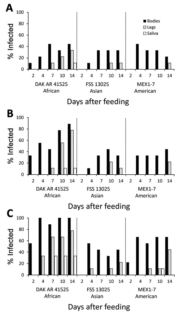 Infection, dissemination, and transmission of 3 Zika virus strains by Aedes aegypti mosquitoes from the Rio Grande Valley, Texas, USA, after artificial blood meals with a concentration of 4 log10 (A), 5 log10 (B), or 6 log10 (C) focus-forming units/mL. 