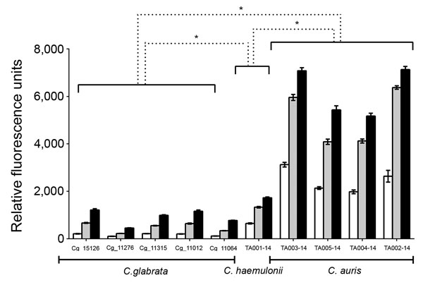 Comparison of rhodamine 6G efflux over time among Candida isolates from Tel Aviv, Israel. Rhodamine 6G efflux is expressed as relative fluorescence units measured in culture supernatants after the addition of 8 mM glucose. Statistical significance was measured with 1-way analysis of variance and Dunnett’s post-test comparing each C. haemulonii and C. auris strain with the averaged value of C. glabrata strains at the corresponding time point. White bars, 5 min; gray bars, 15 min; black bars, 25 m