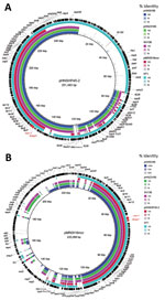 Thumbnail of Sequence comparison of scaffolds (portions of genome sequences reconstructed from end-sequenced whole-genome clones) identified in mcr-1–positive plasmids pHNSH36, pHNZ319S, and pHNSH138 with 2 mcr-1–bearing plasmids pHNSHP45-2 (GenBank accession no. KU341381) and pMR0516mcr (GenBank accession no. KX276657), and contigs identified in mcr-1–positive genomes of Escherichia coli strain NT1 in BRIG (11) (GenBank accession LSBW01000090.1) obtained during analysis of mcr-1–positive Salmon