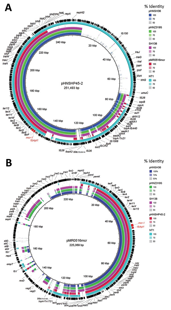 Sequence comparison of scaffolds (portions of genome sequences reconstructed from end-sequenced whole-genome clones) identified in mcr-1–positive plasmids pHNSH36, pHNZ319S, and pHNSH138 with 2 mcr-1–bearing plasmids pHNSHP45-2 (GenBank accession no. KU341381) and pMR0516mcr (GenBank accession no. KX276657), and contigs identified in mcr-1–positive genomes of Escherichia coli strain NT1 in BRIG (11) (GenBank accession LSBW01000090.1) obtained during analysis of mcr-1–positive Salmonella isolates