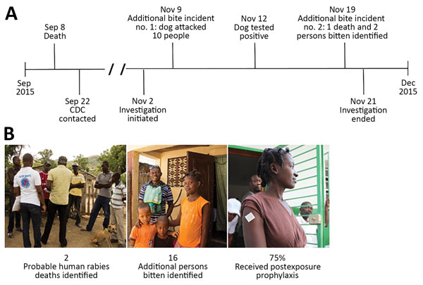 Investigation for probable cases of canine rabies transmission to humans, Haiti, 2015. A) Timeline of investigation and B) outcomes. CDC, Centers for Disease Control and Prevention.