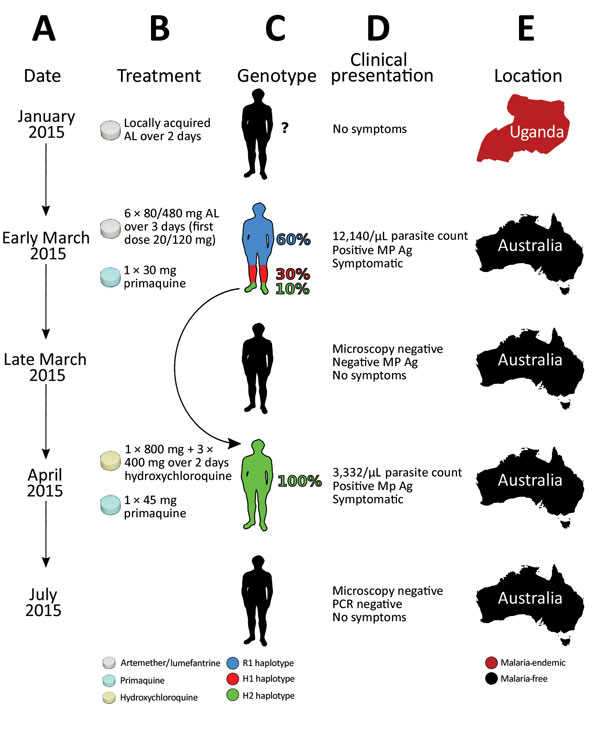 Timeline of the clinical case of a patient with Plasmodium malariae infection diagnosed and treated at Royal Darwin Hospital, Darwin, Northern Territory, Australia, March–April 2015, showing the timing (A), treatment (B), parasite’s genotype as inferred from whole-genome sequencing (C), clinical presentation (D), and location (E). The rounded arrow indicates the recrudescence of the minor haplotype 2 in the initial infection to dominate monoclonally in the second infection. AL, artemether/lumefa