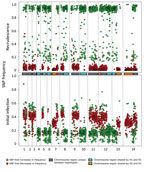 Thumbnail of Analysis of the minor haplotype (H2) that caused recrudescence of Plasmodium malariae infection in a patient at Royal Darwin Hospital, Darwin, Northern Territory, Australia, March–April 2015, showing distribution of SNP alternative (nonreference) allele frequencies across the 14 chromosomes (boxes in the middle and dotted vertical lines) in the initial infection (bottom plot) and the recrudescence (top plot). The SNP colors (green, increasing in frequency; red, decreasing in frequen