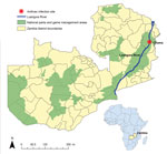 Thumbnail of Location of an anthrax outbreak that originated in a game management area along the South Luangwa River in the Chama District of northeastern Zambia, 2011. Inset map shows location of Zambia in Africa.
