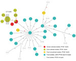 Thumbnail of Minimum spanning tree estimating the phylogenetic relationships among outbreak and nonoutbreak Listeria monocytogenes isolates from humans and from food products, southern Germany, 2012–2016. We conducted bioinformatics analyses using the Ridom SeqSphere+ software version 3.1.0-2016-01 (Ridom GmbH, Münster, Germany). The core-genome multilocus sequence typing scheme for whole-genome sequencing–based typing of L. monocytogenes relies on a set of 1,701 target genes (alleles) that are 