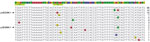 Thumbnail of Differences in promoter and ribosome binding site regions of mcr-1 in plasmids from Escherichia coli in Australia (indicated by arrows) and in other sequences available from GenBank. The sequences end with the ATG start codon of mcr-1 and a second ATG codon that follows it. The −35 and −10 regions of the proposed promoter (11) are indicated by arrows. The numbers to the right indicate how many times each variant has been seen among available sequences.