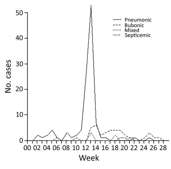 Incidence of the 4 types of plague over the duration of the epidemic in Johannesburg, South Africa, from week ending January 2 to week ending June 16, 1904.
