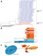 Thumbnail of Phylogenetic analyses of 594 hemagglutinin (HA) sequences (1,704 nt) from clade 2.3.4.4 H5 influenza viruses. A) HA-coding sequence subtree from maximum-likelihood phylogenetic analysis of the clade 2.3.4.4 H5 viruses. Colored nodes: blue, Qinghai Lake H5N8 strains (this study); red, Ubsu-Nur Lake H5N8 strains. B) Maximum-likelihood phylogenetic tree of the clade 2.3.4.4 HA-coding sequences, rooted with A/Goose/Guangdong/1/96(H5N1). Scale bars indicate nucleotide substitutions per s