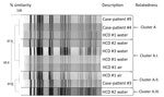 Thumbnail of Molecular strain typing by pulsed-field gel electrophoresis of case-patients and environmental isolates of Mycobacterium chimaera in investigation of invasive extrapulmonary nontuberculous mycobacteria infections among patients who underwent cardiothoracic surgery, York, Pennsylvania, USA, 2015. HCD, heater–cooler device.