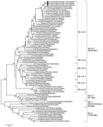 Thumbnail of Phylogenetic tree of H9 gene of influenza A(H9N2) viruses from Myanmar and reference viruses. Phylogenetic trees were constructed by using MEGA version 6.0 (http://www.megasoftware.net/) and a neighbor-joining algorithm with the Kimura 2-parameter model and 1,000 replications of bootstrap analysis. Only bootstrap numbers &gt;70% are shown. Black circles represent isolates from this study, and open circles represent human H9N2 isolates. Virus clades are indicated at right. Scale bar 