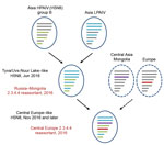 Thumbnail of Proposed reassortment events leading to the novel central Europe HPAIV A(H5N8) clade 2.3.4.4 virus. The Russia–Mongolia reassortant clade 2.3.4.4 H5N8 virus acquired 2 new segments (polymerase acidic protein and nucleoprotein), leading to the novel central Europe clade 2.3.4.4 H5N8 in 2016. Similar segment origins are marked by similar colors. Dashed lines indicate putative precursors. HPAIV, highly pathogenic avian influenza virus; LPAIV, low pathogenicity avian influenza virus.
