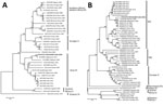 Thumbnail of Phylogenetic trees comparing the large (A) and medium (B) gene segments of Crimean-Congo hemorrhagic fever virus (CCHFV) strain isolated in India (bold) with reference CCHFV strains obtained from GenBank. The strain from India, NIV161064, was isolated in 2016 from the serum of a patient who had returned home to India after becoming ill in Oman. Representative reference strains were inferred by the neighbor-joining algorithm in MEGA6 (http://www.megasoftware.net/). Strains are identi