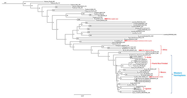 Dendrogram based on core SNP analysis of Burkholderia pseudomallei genomes by using maximum-parsimony for isolate kSNP3.021. Values at nodes indicate SNP distances between connecting nodes. Numbers to the right of the strain names are numbers of SNPs unique to that genome. Scale bar indicates nucleotide substitutions per site. POW, prisoner of war; SNP, single-nucleotide polymorphism.