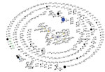 Thumbnail of Global population snapshot of Corynebacterium diphtheriae sequence types. eBURST (http://eburst.mlst.net/) was used to display the C. diphtheriae isolates (n = 616) available in the PubMLST database (http://pubmlst.org/cdiphtheriae/) at the time of analysis (accessed June 13, 2017). Isolates from South Africa (n = 25) are green. The size of each circle is proportional to the number of isolates, and related sequence types are connected by lines. Blue and yellow circles indicate found