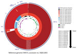 Thumbnail of Genomic comparison of 9 porcine hemagglutinating encephalomyelitis virus (PHEV) strains from fairs in Michigan, Indiana, and Ohio, USA, 2015, to 3 non-PHEV coronavirus (CoV) strains from GenBank (bovine CoV Kakegawa, accession no. AB354579; human enteric CoV 4408, accession no. FJ415324;, white-tail deer CoV WD470, accession no. FJ425187) and a reference genome from a PHEV strain from Belgium (VW572, accession no. DQ011855). Analysis was completed by using CGView Comparison Tool sof