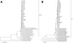 Thumbnail of Phylogenetic analyses of the newly identified GII.2 noroviruses in China, reconstructed based on RNA-dependent RNA polymerase (A) and open reading frame 2 (B) with a representative norovirus using the neighbor-joining method with datasets of 1,000 replicates in MEGA 6.0 software (http://www.megasoftware.net). Triangles indicates the positions of the GII.2 norovirus newly identified in 8 cities from 7 provinces. Scale bars indicate nucleotide substitutions per site.