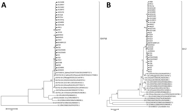 Phylogenetic analyses of the newly identified GII.2 noroviruses in China, reconstructed based on RNA-dependent RNA polymerase (A) and open reading frame 2 (B) with a representative norovirus using the neighbor-joining method with datasets of 1,000 replicates in MEGA 6.0 software (http://www.megasoftware.net). Triangles indicates the positions of the GII.2 norovirus newly identified in 8 cities from 7 provinces. Scale bars indicate nucleotide substitutions per site.