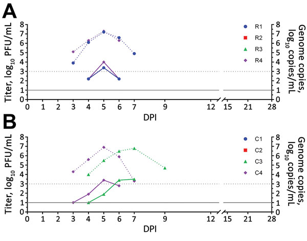 Viremia and virus RNA detected in serum of rhesus and cynomolgus macaques after intravaginal inoculation with Zika virus. A) Rhesus macaques (animals R2 and R3 showed negative results); B) cynomolgus macaques (animals C1 and C2 showed negative results). Solid lines indicate virus titers in log10 PFU/mL. Dotted lines indicate genome copies in log10 copies/mL. The lower limit of detection was 1.0 log10 PFU/mL for virus titers and 3.0 log10 copies/mL for genome copies. C, cynomolgus; DPI, days post