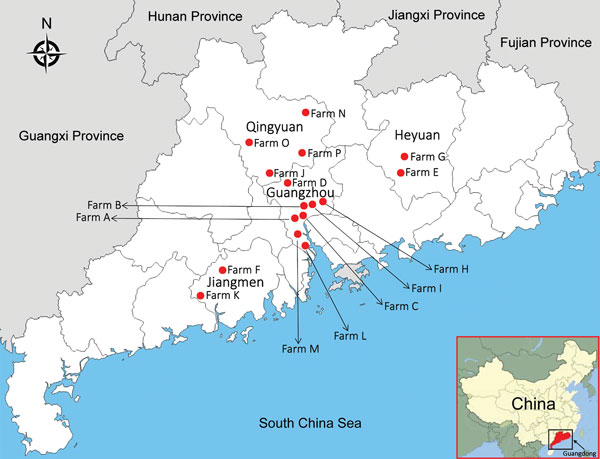 Farm locations for study of influenza D viruses in cattle, goats, buffalo, and pigs, Guangdong Province, China.