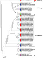 Thumbnail of Phylogenetic analysis of viruses from study of influenza D viruses in cattle, goats, buffalo, and pigs in Guangdong Province and neighboring provinces, China, compared with reference viruses. Partial hemagglutinin-esterase-fusion gene sequences (496 bp) were aligned by using ClustalW implemented in DNAStar software (DNAStar, Madison, WI, USA), and the phylogenetic tree was obtained using neighbor-joining method within MEGA 5.1 software (http://www.megasoftware.net). Numbers at nodes