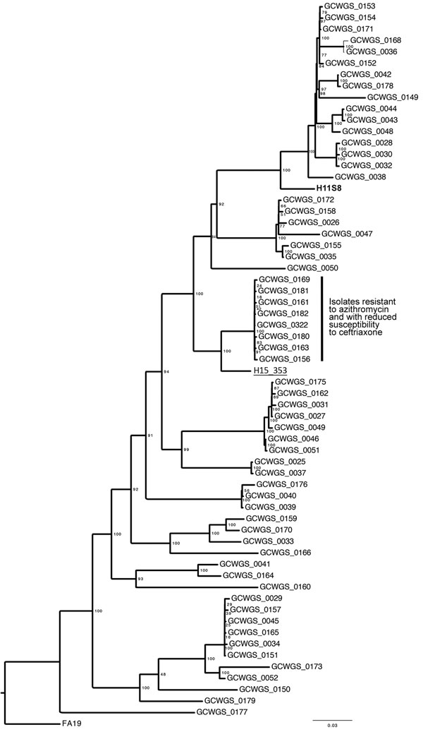 Maximum-likelihood phylogeny of Neisseria gonorrhoeae samples (N = 62) collected in Hawaii during February–May 2016, 1 isolate collected in Hawaii in 2011, and 1 isolate collected in the United Kingdom in 2015. The clade denoted with the black vertical bar contains 8 samples that exhibited resistance to azithromycin (MIC &gt;256 µg/mL by Etest) and reduced susceptibility to ceftriaxone (MIC range 0.094–0.125 µg/mL). The 2011 isolate from Hawaii (H11S8, bold) also exhibited resistance to azithrom