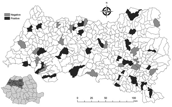 Locations in northwestern Romania where sheep were positive for tick-borne encephalitis virus–specific antibodies, determined by using virus neutralization test (6).