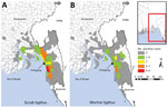 Thumbnail of Geographic distribution of scrub typhus (A) and murine typhus (B) cases, Chittagong, Bangladesh, August 2014–September 2015. Inset shows location of enlarged area (red box).