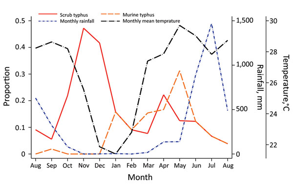 Seasonality of scrub typhus and murine typhus–related hospital admissions, Chittagong Medical College Hospital, Chittagong, Bangladesh, August 2014–September 2015. We observed a biphasic pattern in scrub typhus, with an increase of cases in the cooler months and a smaller peak before the rainy season.