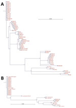 Thumbnail of Phylogenetic analysis of pathogens contributing to rickettsial illnesses, Chittagong Medical College Hospital, Chittagong, Bangladesh, August 2014–September 2015. A) Phylogenetic dendrogram based on the nucleotide sequence of the partial open reading frame of the 56-kDa TSA gene (aligned and cropped to ≈450 bp), depicting Orientia tsutsugamushi strains in relationship with reference and other strains. O. tsutsugamushi genotypes in Bangladesh included Karp, Gilliam, Kato, and TA763 s