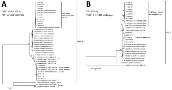 Phylogenetic trees for norovirus GII.2 strains, Taiwan, 2014–2016. A) Partial ORF1 nucleotide sequences in RdRp region (644 nt) of GII.2 strains aligned and the tree generated by using Kimura 80 substitution model with gamma site rates, 1,000 bootstrap replicates, by using MEGA 6.0 software (http://www.megasoftware.net). Bootstrap values of 1,000 replications are shown on the branches. B) Full-length ORF2 nucleotide sequences of GII.2 strains aligned and the tree generated by using Tamura-Nei su