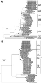 Thumbnail of Phylogenetic trees for the A) capsid (VP1) gene and B) RNA-dependent RNA polymerase (RdRp) region in human norovirus GII strains. Trees were constructed by using the maximum-likelihood method. Scale bar represents number of nucleotide substitutions per site. Bold letters denote GII.2v strains. Numbers at branch nodes show bootstrap values with &gt;70% support.