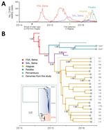 Thumbnail of Epidemiologic and genetic surveillance of CHIKV in Northeast Brazil. A) Notified CHIKV cases for Alagoas State (Maceió municipality), Paraíba State (João Pessoa municipality), and Feira de Santana (FSA) and Salvador (SAL) municipalities (3), both located in the Bahia state. B) Molecular clock phylogeny obtained using 23 novel CHIKV sequences (with length &gt;4,000 nt) collected in Northeast Brazil (dashed box). Numbers along branches represent clade posterior probability &gt;0.75. C
