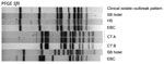 Thumbnail of Pulsed-field gel electrophoresis (PFGE) of case-patient and environmental isolates from a Legionnaires’ disease outbreak caused by an endemic strain of Legionella pneumophila, New York City, New York, USA, 2015. One clinical isolate with the outbreak PFGE pattern (Clinical isolate−outbreak pattern) shows matches to 2 cooling tower (CT A and CT B) isolates from the South Bronx Hotel (SB), a homeless shelter (HS), and East Bronx College (EBC). Molecular typing patterns of Legionella p