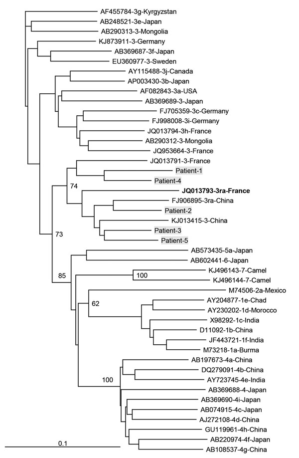 Phylogenetic tree for a 347-nt sequence within open reading frame 2 of hepatitis E viruses, France. Genetic distances were calculated by using the Kimura 2-parameter method, and the tree was plotted using the by the neighbor-joining method. Values along branches are bootstrap values acquired after 100 replications.  Virus sequences obtained from patients in this study (gray shading) were compared with reference sequences of subtypes 3 viruses according to the proposal of Smith et al. (3). GenBan