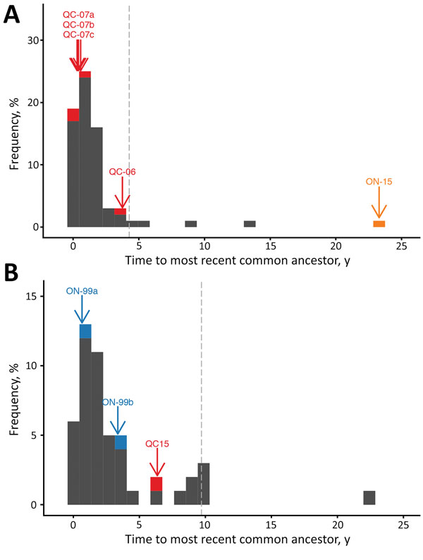 Distribution of coalescent times for raccoon-specific variant of rabies virus near the US-Canada border, clade I (A) and clade III (B). Grey histograms give the distribution of coalescent times for each US sample in the clade, and colored bars and labels indicate the coalescent times for the most recent common ancestor of each Canada lineage in the specified clade. Gray dashed lines indicate the 95th percentiles of the coalescent times for virus from the United States. ON, Ontario; QC, Quebec.