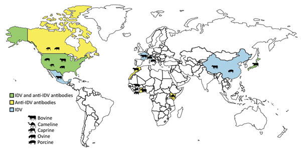 Locations where IDV or IDV antibodies had been detected as of April 2017. Species from which virus or antibodies were detected are indicated. IDV, influenza D virus.