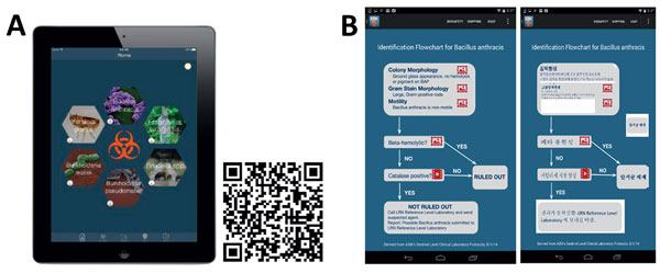 On-demand training tools sustain and enhance laboratory pathogen identification as part of the Laboratory Research Network. A) The Laboratory Research Network Rule-Out and Refer mobile application, available for download on Apple tablets via QR code or the Apple App store. B) Flowcharts provide easy agent-specific rule-out and refer information, including images and videos in English and Korean.