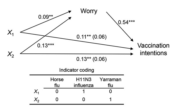 Regression coefficients for the effect of influenza labels on worry for infection and intentions for vaccination. Label conditions were dummy coded to estimate the effects of “H11N3 influenza” (X1) and “Yarraman flu” (X2) labels compared with the “horse flu” label. The effect of influenza labels on vaccination intentions, controlling for worry, is in parentheses. **p&lt;0.01; ***p&lt;0.001.