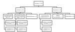 Thumbnail of Flowchart of aircraft passengers exposed to index case-patient 1 in investigation of 2 imported US cases of Middle East respiratory syndrome, by location at time of notification, May 2014. Of all passengers, 78 (88%) were on the London–Chicago flight, 9 (10%) on the Riyadh–London flight, and 2 (2%) on the Riyadh–London and London–Chicago flights. Domestic passengers were assigned to state health departments for follow-up if contact information indicated they lived in that state; CDC