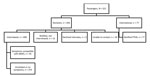 Thumbnail of Flowchart of aircraft passengers exposed to index case-patient 2 in investigation of 2 imported US cases of Middle East respiratory syndrome, by location at time of notification, May 2014. Of all passengers 188 (36%) were on the London–Boston flight, 158 (30%) on the Boston–Atlanta flight, and 175 (34%) on the Atlanta–Orlando flight. Domestic passengers were assigned to state health departments for follow-up if contact information indicated they lived in that state. CDC assumed resp