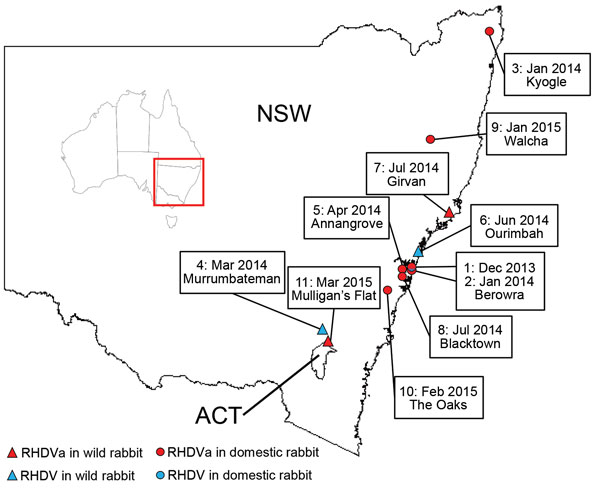 Thumbnail of RHDV and RHDVa detections in Australia, January 2014–March 2015. Sites where RHDVa and Australian RHDV field strains were detected are indicated on the map and numbered according to the order in which the outbreaks occurred. Inset shows location of NSW and ACT in Australia. ACT, Australian Capital Territory; NSW, New South Wales.