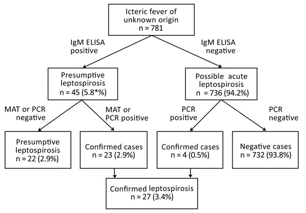 Flowchart used in study of leptospirosis in persons who sought medical attention for febrile jaundice, Burkina Faso. MAT, microscopic agglutination.